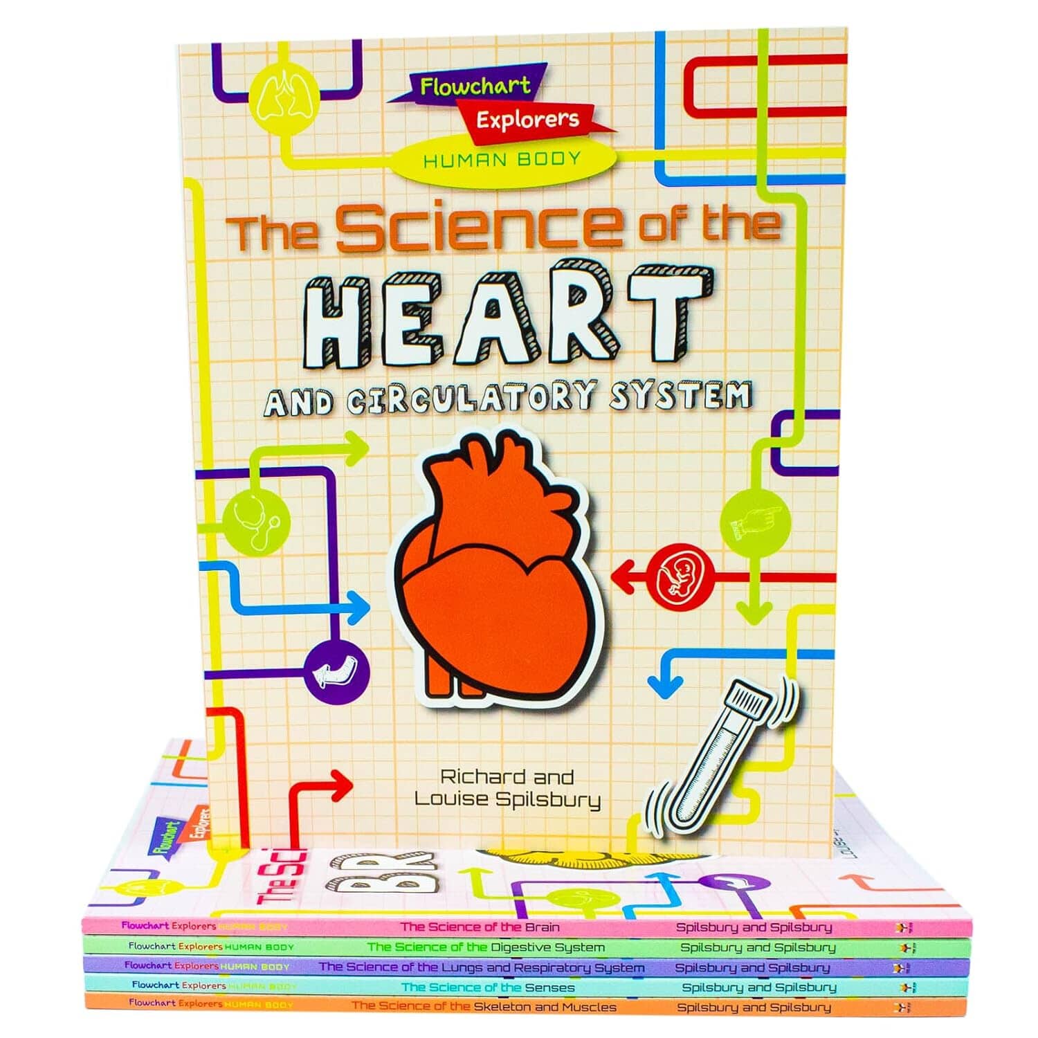Flowchart Explorers Human Body Series 6 Books Collection Set - Ages 9-11 - Paperback 9-14 Fox Eye Publishing
