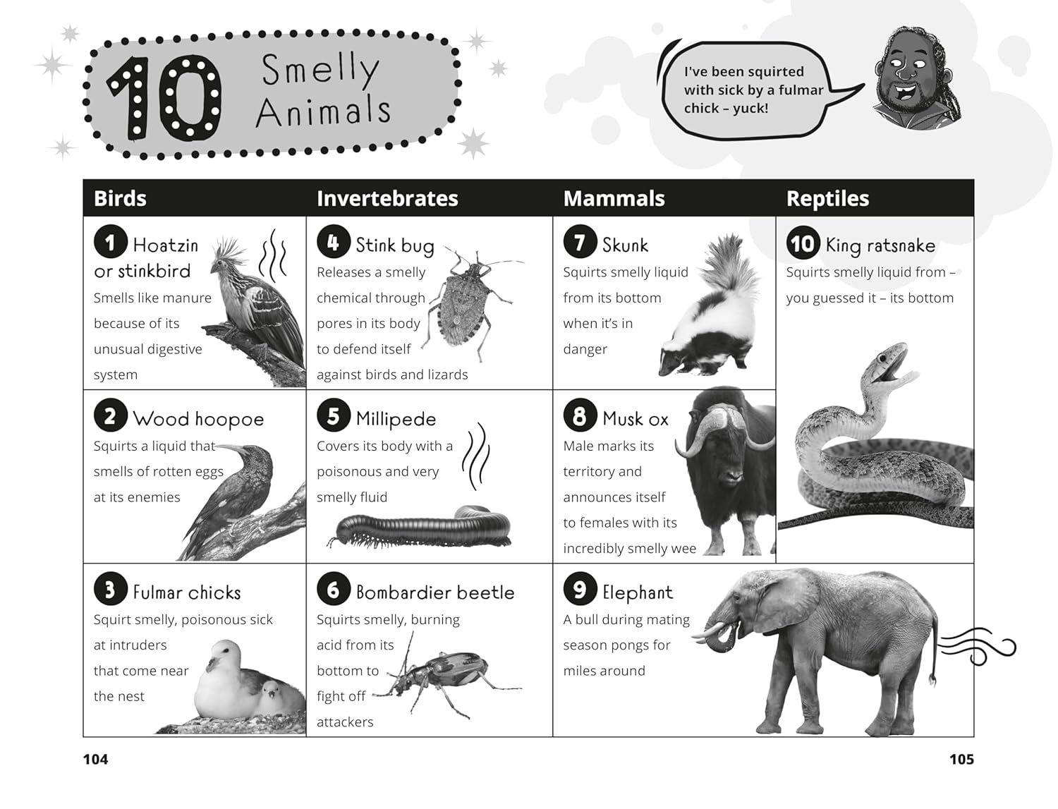 Hamza's Wild World: The Essential Book for Young Animal Fans, Full of Fun Facts! by Hamza Yassin - Ages 7-11 - Paperback