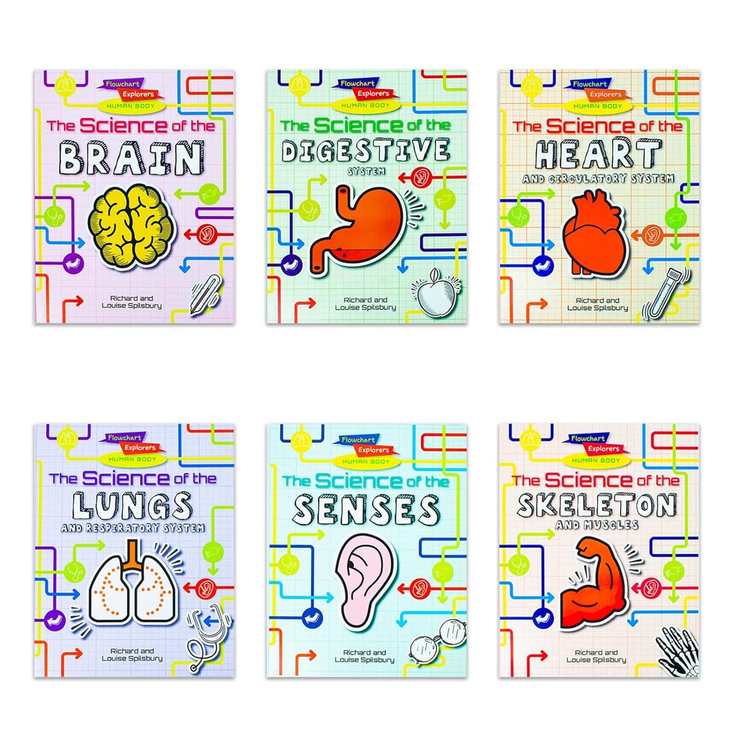 Flowchart Explorers Human Body Series 6 Books Collection Set - Ages 9-11 - Paperback 9-14 Fox Eye Publishing