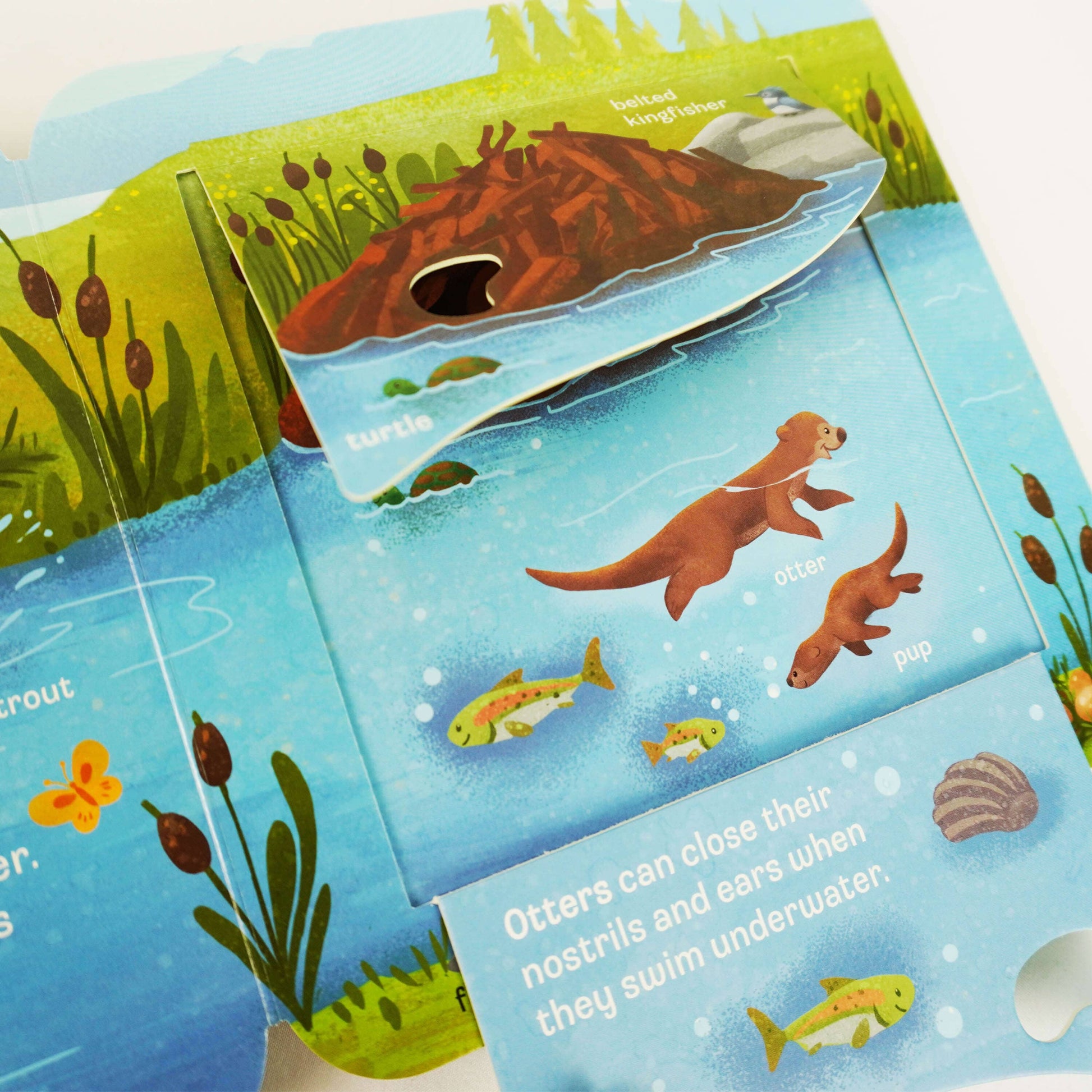 Peek a Boo Dig! Fun Children's Interactive Lift a Flap by Jaye Garnett 4 Books Collection Set - Ages 2+ years - Board Book 0-5 Cottage Door Press